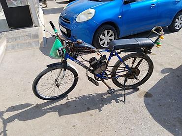 3 təkərli motor: - SELS, 80 sm3, 2024 il, 60 km — 8