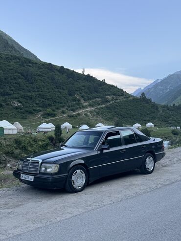 пакупка авто: Mercedes-Benz W124: 1991 г., 2.9 л, Механика, Дизель, Седан