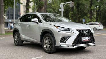 ниссан патрол мотор: Lexus NX: 2019 г., 2 л, Автомат, Бензин, Кроссовер