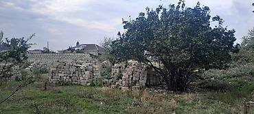 agac sekilleri: Kubiklər, Kredit yoxdur — 6