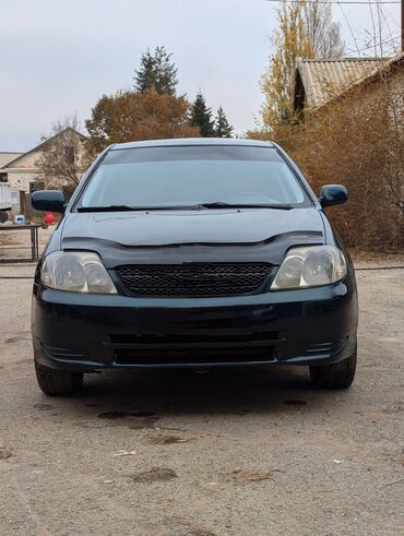 машына тайота камри: Toyota Corolla: 2000 г., 1.6 л, Механика, Бензин