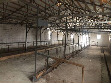 Torpaq sahələrinin satışı: 48 sot, Kənd təsərrüfatı, Makler, Kupça (Çıxarış) — 12