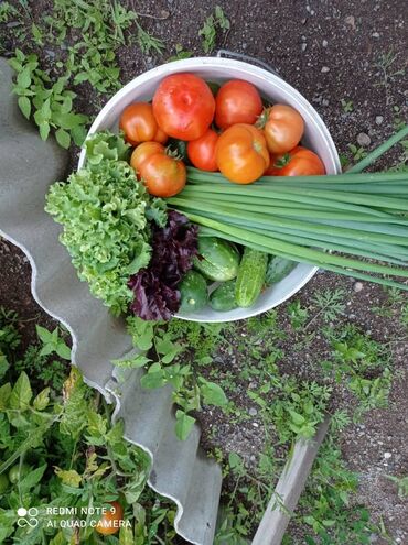 Продажа участков: 10 соток — 23