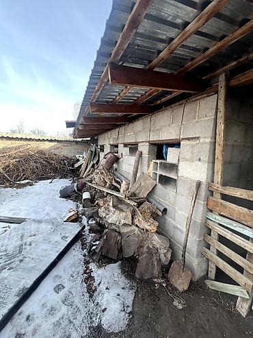 Продажа домов: Дом, 80 м², 5 комнат — 3