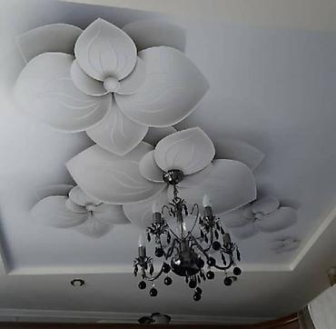 Натяжной потолок: Натяжной потолок,любой сложности,материал самый качественный,есть — 10