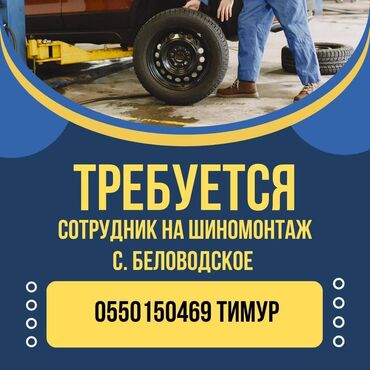 оборудование для шаурмы: Вакансия: сотрудник на шиномонтаж Локация: с. Беловодское Описание