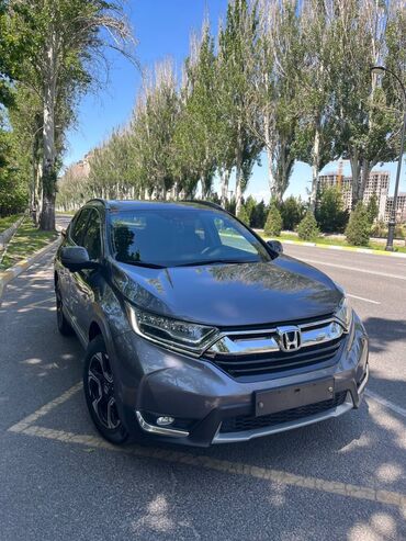 хонда солярис: Honda CR-V: 2017 г., 1.5 л, Автомат, Бензин, Кроссовер