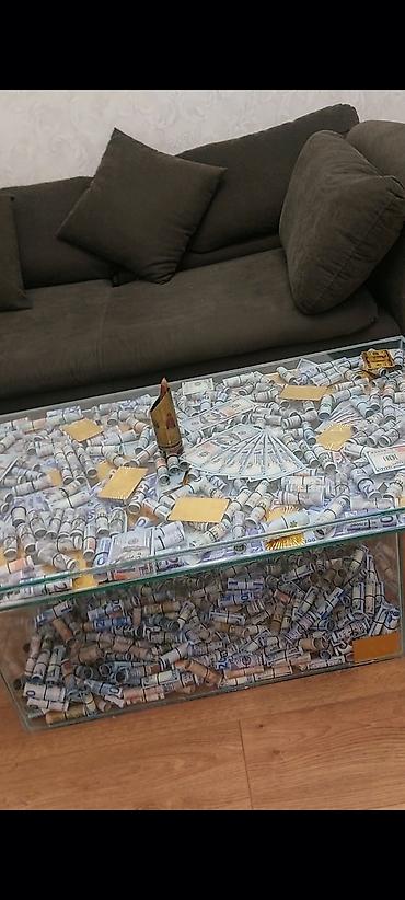 Akvariumlar: Çatdırılma tam pulsuzdu ölçü və dizaynında dəyişiklik etməy olar arxa — 18