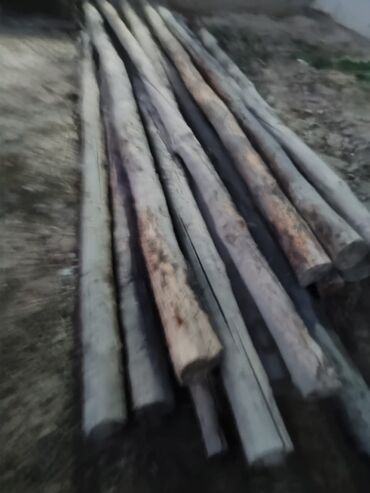 продажа леса строительные: Лес кругляк Бревна/столбы из цельной древесины. - Порода: хвойные