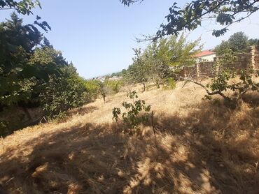 Bağ evlərinin satışı: Bakı, Görədil, 65 kv. m, 1 otaqlı, Hovuzsuz, Qaz, Su, Kanalizasiya — 17