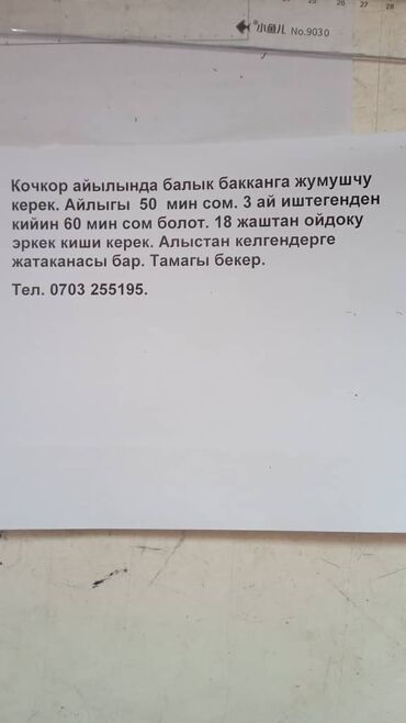 керек кж каракол работа: Другие специальности