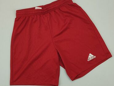 spodenki regatta: Shorts, Adidas, 12 years, 152, condition - Good