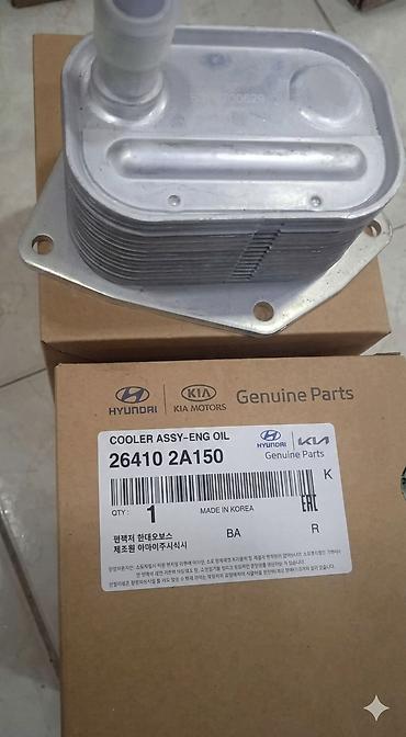 radiator barmaqlıqı: Hyundai/Kia orijinal ehtiyat hissəsi – Mühərrik yağı soyuducusu — 1