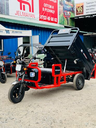 Мотороллеры муравей: Мотороллер муравей Электро, 70 км, 1000 - 1499 кг, Новый — 3