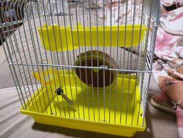 Qəfəslər: Hamster üçün qəfəs – çoxmərtəbəli, aksesuarlarla ki - Rəng — 8