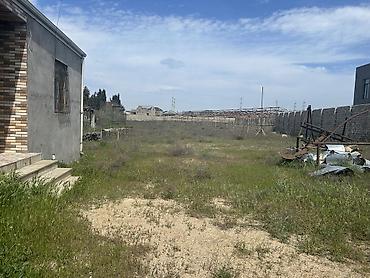 xasaxuna: 65 sot, Kupça (Çıxarış) — 1