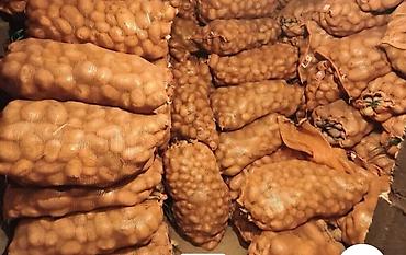 Картошка Оптом, В розницу at lalafo.kg Картошка Оптом, В розницу