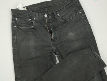 Trousers: Jeans for men, L (EU 40), LeviS, condition - Good