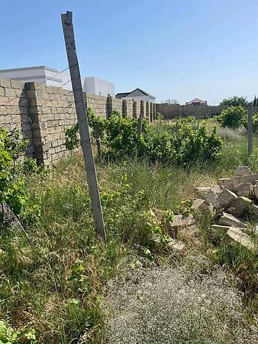 Torpaq: 12 sot, Tikinti, Mülkiyyətçi, Kupça (Çıxarış) — 2