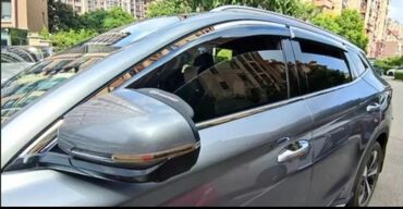 Ветровики и мухобойки: BYD, Новый
