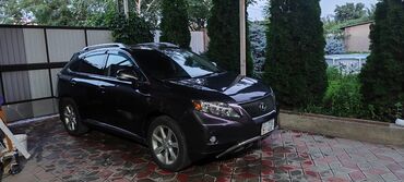 runx alex: Lexus RX 
Европеец 
Срочно