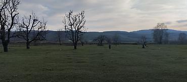 Torpaq sahələrinin satışı: Kənd təsərrüfatı — 12