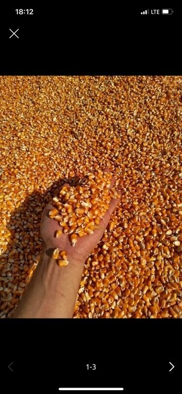 раковина с тумбой и зеркалом в ванную бишкек: Кукуруза