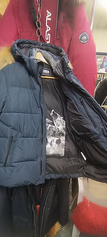 pull and: Новое Поступление от Бренда FrompolesЗима Цвета Т-синийСерый — 2