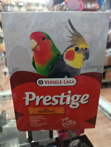 Yemlər: Quş yemləri 1-azn Qırmızı darı topdan 1azn Pərakəndə 1,50azn 1-kq — 12