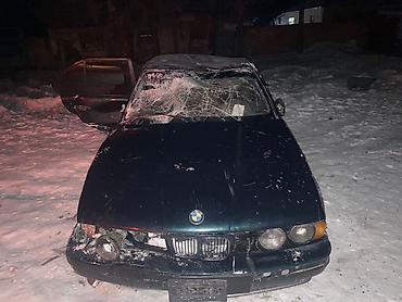 BMW: BMW 5 series: 1994 г., 3 л, Ручные, Седан — 3