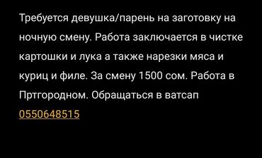 работа в бишкеке в ночную смену официант: Ночная работа и и нужен человек кто быстрее работает