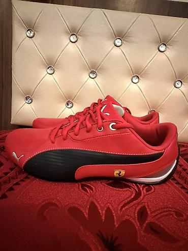 qırmızı vinston: Orijinal Puma Ferrari SportLifestyle Ölçü: EU 41 Vəziyyəti çox — 1