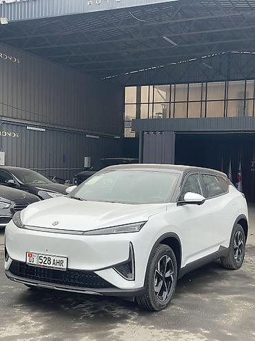 Dongfeng: Dongfeng : 2026 г., Автомат, Электромобиль — 1
