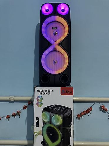 Динамики и колонки: Портативная акустическая система Sing-e ZQS1533 с подсветкой - — 2