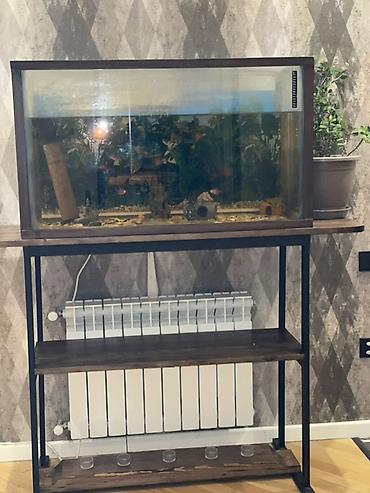 syomqa baliq: Akvarium Olchusu eni 1 metr hundurluyu 70 sm derinliyi 40 sm - — 1