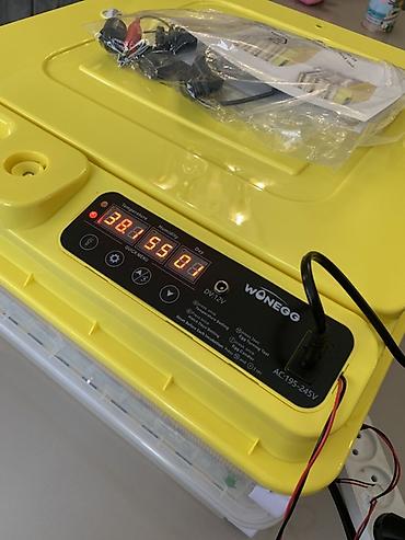 inkubator satışı: Rusiya, Tam avtomat — 6