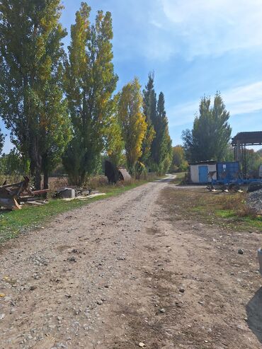 Продажа участков: 44 соток, Красная книга — 15