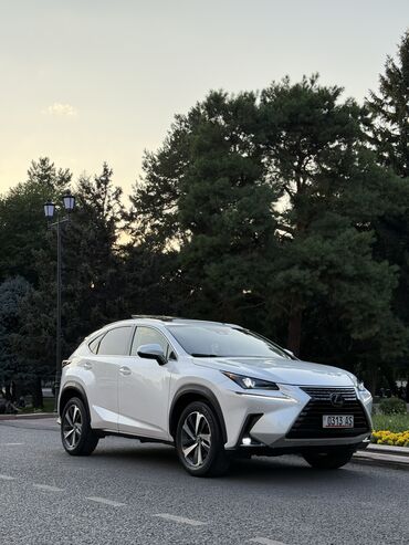 авто в рассрочку без первоначального взноса: Lexus NX: 2019 г., 2 л, Автомат, Бензин, Кроссовер