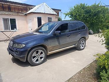 e34 4 4: BMW X5: 2005 г., 3 л, Автомат, Дизель, Кроссовер — 3