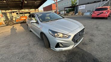 Частная аренда авто: Сдается Соната Нью Райс Посуточнов сутки по 2500 сминимум на две at lalafo.kg — 2 Частная аренда авто: Сдается Соната Нью Райс Посуточнов сутки по 2500 сминимум на две — 2