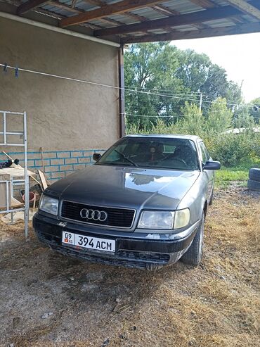 машина пассат б4: Audi 100: 1991 г., 2 л, Механика, Газ, Седан