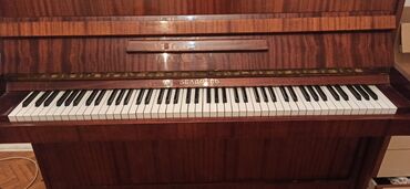 электронное пианино: Пионино Беларусь