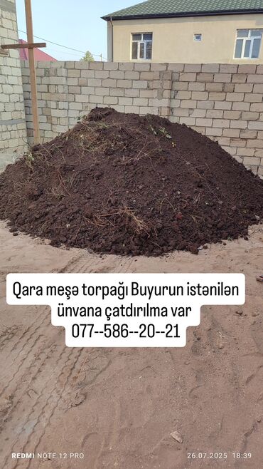 kirpi eti satışı: Qara meşə torpağı müxtəlif bağçılıq və tikinti layihələri üçün