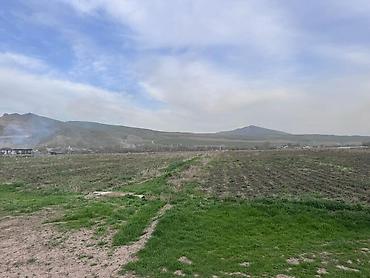 Продажа участков: 80 соток, Для сельского хозяйства — 18