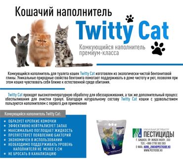кошачья мята: Кошачий наполнитель для кошачьего туалета изготовлен из экологически