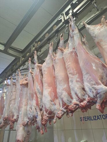 Мясо: Баранина : Лопатка, Более 10 кг — 2