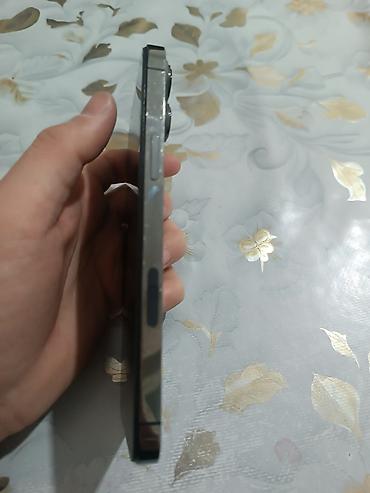 Apple iPhone: IPhone 13 Pro Max, Б/у, 1 ТБ, Графит, 74 % at lalafo.kg — 12 Apple iPhone: IPhone 13 Pro Max, Б/у, 1 ТБ, Графит, 74 % — 12