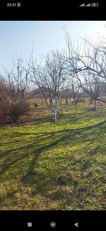 mehdiabad həyət evi: Quba, 16 kv. m, 3 otaqlı, İnternet, Telefon, İşıq