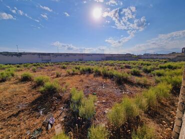 Torpaq sahələrinin satışı: 36 sot, Tikinti, Makler, Kupça (Çıxarış) — 2