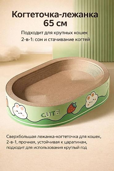 Зоотовары: Зоотовары для питомцев лежанки домики переноски игрушки дразнилки — 15